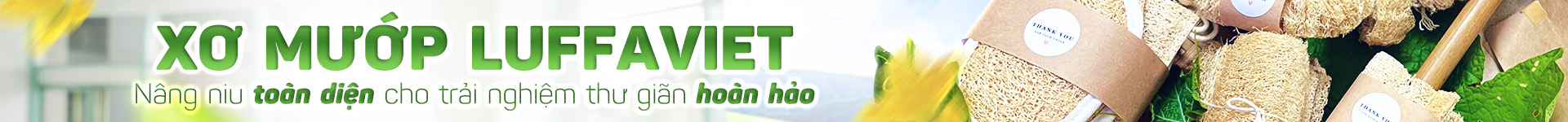 <b>SẢN PHẨM TỪ XƠ MƯỚP</B>